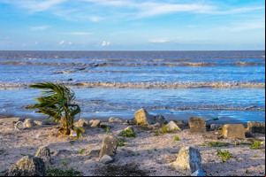 Guyana