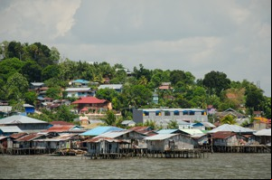 “Papua
